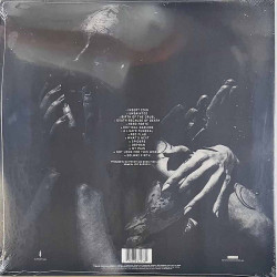 Slipknot LP We Are Not Your Kind 2LP  vinyyli LP