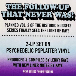 Litter, Love, Syndicate of Sound ym. LP Nuggets: Vol. 2 Original Artyfacts, color 2LP  vinyyli LP