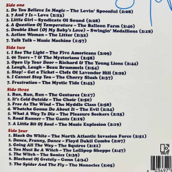 Litter, Love, Syndicate of Sound ym. LP Nuggets: Vol. 2 Original Artyfacts, color 2LP  vinyyli LP