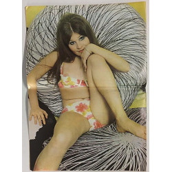 Stump: Irwin Goodman,Irina Milan - used magazine