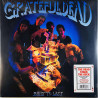 Grateful Dead LP Built To Last  vinyyli LP