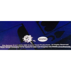 Grateful Dead LP Built To Last  vinyyli LP