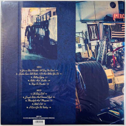 Remu & Skuugi Darlings LP RocKing All Life Long  vinyyli LP