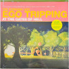 Flaming Lips LP Ego Tripping at the Gates of Hell, green vinyl  vinyyli LP