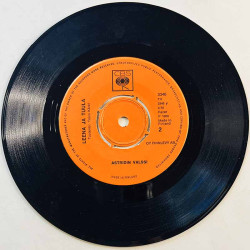 Leena Ja Tuula Käytetty 7” ei kuvakantta Muistelo / Astridin valssi  kansi Ei kuvakantta levy VG+ käytetty vinyylisingle