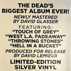 Grateful Dead LP In the dark, silver vinyl  vinyyli LP