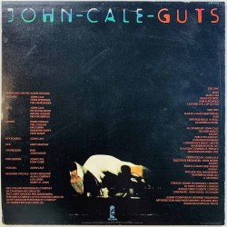 Cale John 1977 ILPS 9459 Guts Begagnat LP