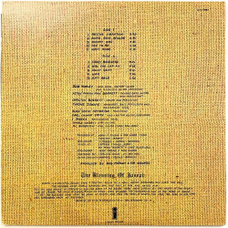 Bob Marley & The Wailers LP Rastaman Vibration  kansi EX- levy EX Käytetty LP