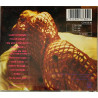 Divinyls CD Divinyls -90  kansi EX levy EX Käytetty CD