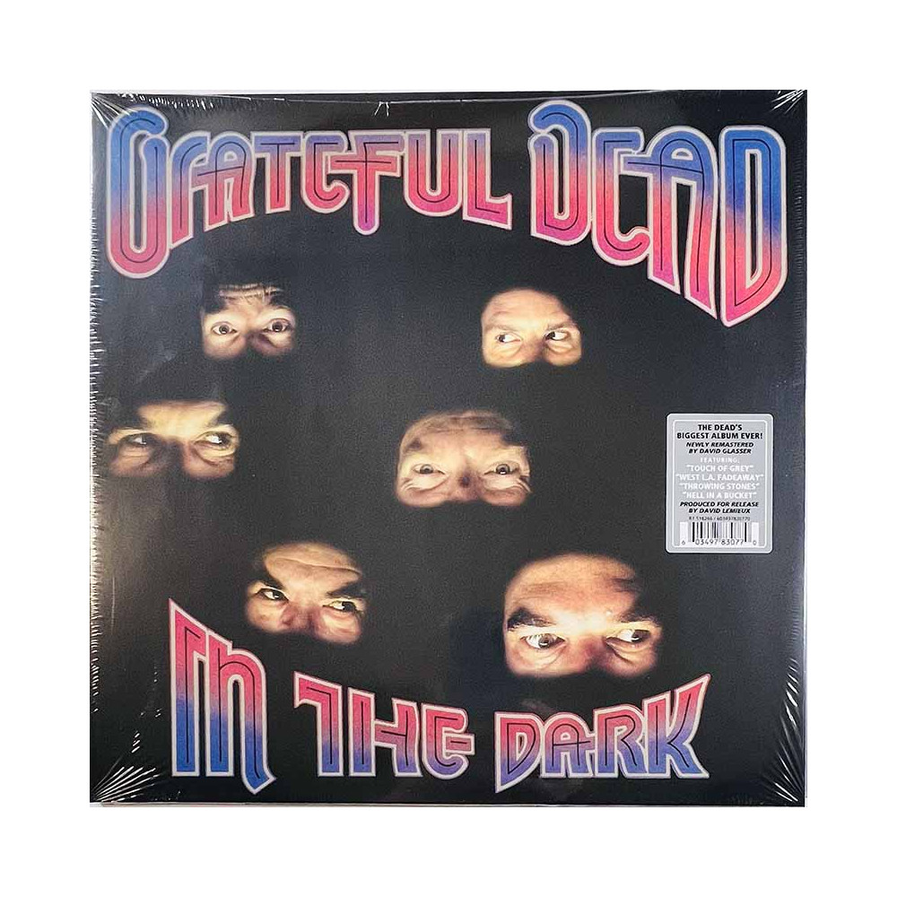 Grateful Dead LP In the dark  vinyyli LP