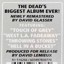 Grateful Dead LP In the dark  vinyyli LP