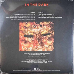 Grateful Dead LP In the dark  vinyyli LP