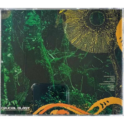 Goslings CD-levy Spaceheater / Perfect Interior CD-levy