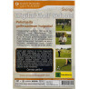 DVD - Golf School DVD by Simon Holmes, Svingi  kansi EX levy VG+ Käytetty DVD