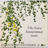 Viljo Kojon kauneimmat runot käytetty 7” kuvakannella Runoutemme kauneimpia 10 EP  kansi EX levy EX käytetty vinyylisingle PS