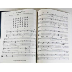 Radiohead nuottikirja : Hail to the Thief  - Guitar Tablature Vocal - Något använd bok
