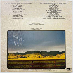 Boone Pat 1977 MC6-501S1 The Country Side Of Pat Boone Begagnat LP