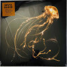 Royal Blood LP Back to the water below, clear vinyl LP