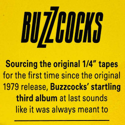 Buzzcocks vinyl LP A Different Kind Of Tension vinyl LP