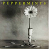 Peppermints LP kansi The Peppermints  kansi EX levy ei levyä kansi ilman levyä