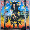 Vai Steve LP Passion and Warfare  kansi EX levy VG+ Käytetty LP