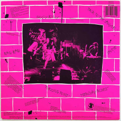 David Lindley and El Rayo-X LP El Rayo Live  kansi EX levy EX Käytetty LP