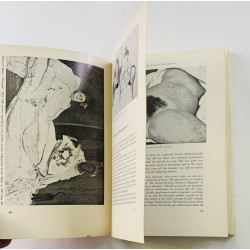 Ove Brusendorff and Poul Henningsen 1966  Love’s picture book Käytetty kirja