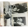 Brusendorff Ove / Malmkjaer Poul 1966  Erotik i filmen, den nakna vågen Käytetty kirja