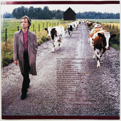 Maijanen Pave 1987 062-7 48676 1 Maailman Tuulet Begagnat LP