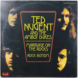 Ted Nugent & The Amboy Dukes LP Survival of the fittest / Marriage on the rocks 2LP  kansi EX- levy EX Käytetty LP