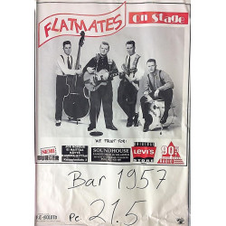 Flatmates: On Stage: Keikkajuliste 40cm x 60cm - Used Poster