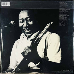 Waters Muddy LP Muddy "Mississippi" Waters Live  vinyyli LP