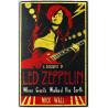 A biography of Led Zeppelin 2009 ISBN 978-1-4091-0319-6 Mick Wall Käytetty kirja