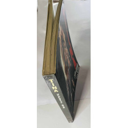 Tina, The Tina Turner Story 1985 ISBN 0-283-99305-7 Ron Wynn Käytetty kirja