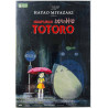 DVD - Elokuva DVD Naapurini Totoro  kansi EX levy EX Käytetty DVD