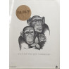 Crash: Pony Ride: Promojuliste 50cm x 68cm - JULISTE