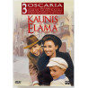 DVD - Elokuva DVD Kaunis elämä  kansi EX levy EX Käytetty DVD
