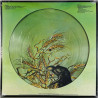 Grateful Dead 1973 RPD1 721382 Wake of the Flood, kuvalevy LP