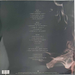 Team Sleep LP Team Sleep 2LP  vinyyli LP