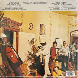 Wood Ron LP I've Got My Own Album  vinyyli LP