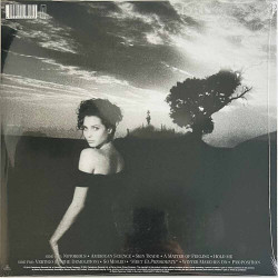 Duran Duran LP Notorious  vinyyli LP