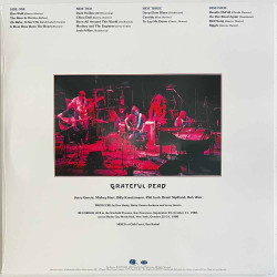 Grateful Dead LP Reckoning 2LP  vinyyli LP
