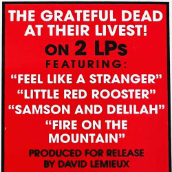 Grateful Dead 1981 R1 516264 Dead Set 2LP LP