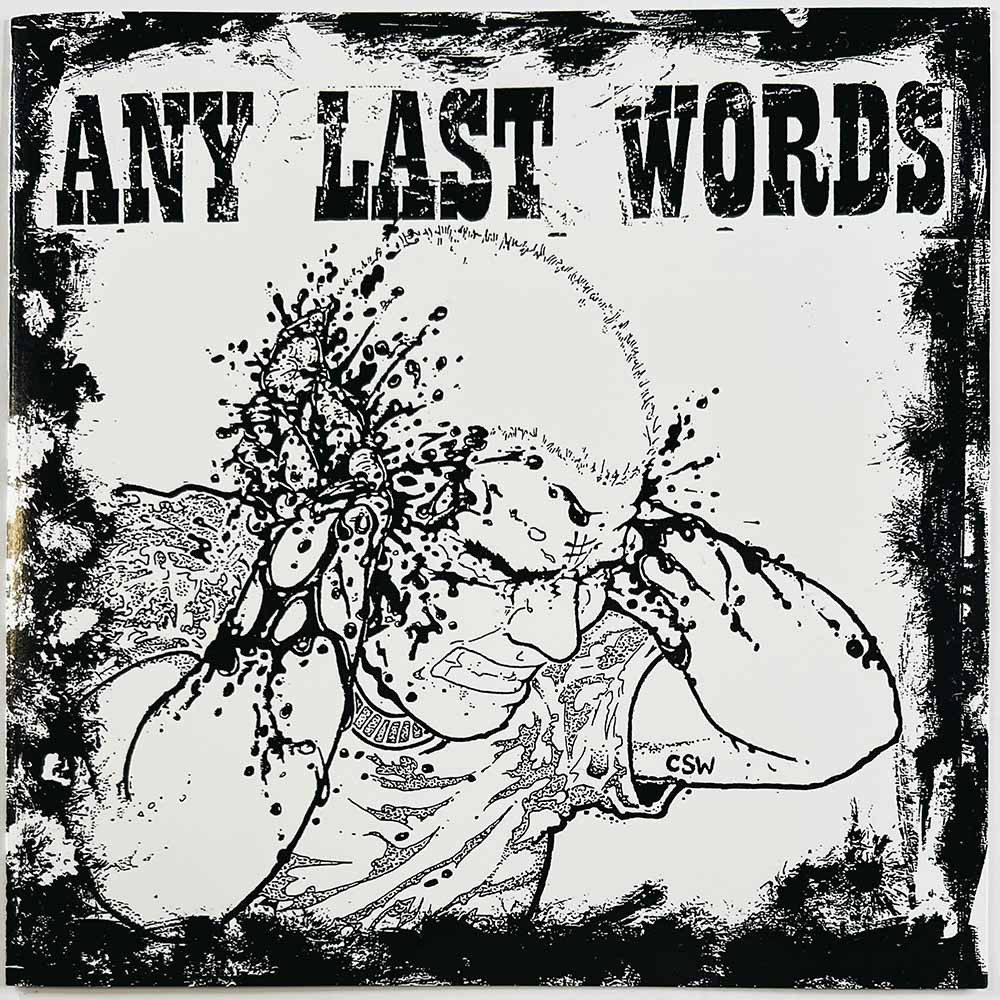 Any Last Words käytetty 7” kuvakannella Any Last Words, 8 tracks 7-inch  kansi EX levy EX käytetty vinyylisingle PS