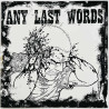 Any Last Words käytetty 7” kuvakannella Any Last Words, 8 tracks 7-inch  kansi EX levy EX käytetty vinyylisingle PS