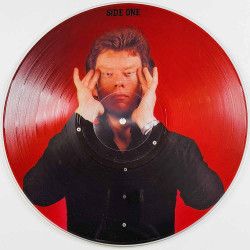 Jupp Mickey 1978 SEEZ P-10 Juppanese, kuva-LP Begagnat LP