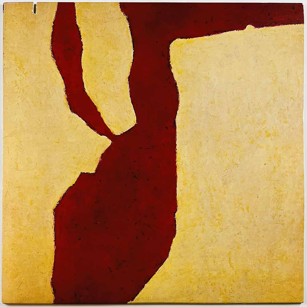 Graham Parker and the Rumour 1980 AL 9517 The up escalator Begagnat LP