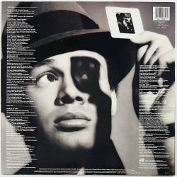 Narada Michael Walden Käytetty LP Looking at you, looking at me  kansi EX levy EX Käytetty LP