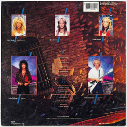 McAuley Schenker Group Käytetty LP Save Yourself  kansi VG levy VG Käytetty LP
