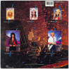 McAuley Schenker Group Käytetty LP Save Yourself  kansi VG levy VG Käytetty LP
